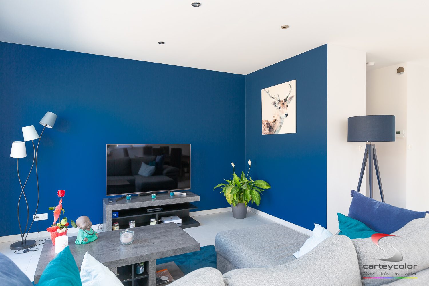 Salon au mur bleu pétrole